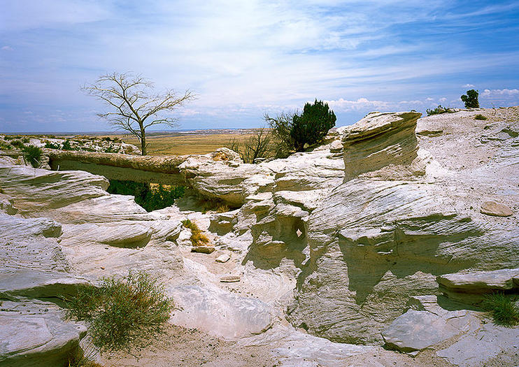 Petrified Forest National Park